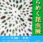 平成30年度夏季企画展「きらめく昆虫展」
