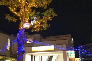 もうすぐクリスマス「南海高野線 金剛駅」周辺もイルミネーションが綺麗に光っています。