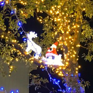 もうすぐクリスマス「南海高野線 金剛駅」周辺もイルミネーションが綺麗に光っています。