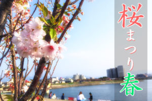 狭山池北堤の桜ライトアップ「桜まつり・春 2019」が2019年3月23日から4月5日まで開催
