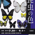令和元年夏季企画展「昆虫の色」が狭山池博物館にて開催されます