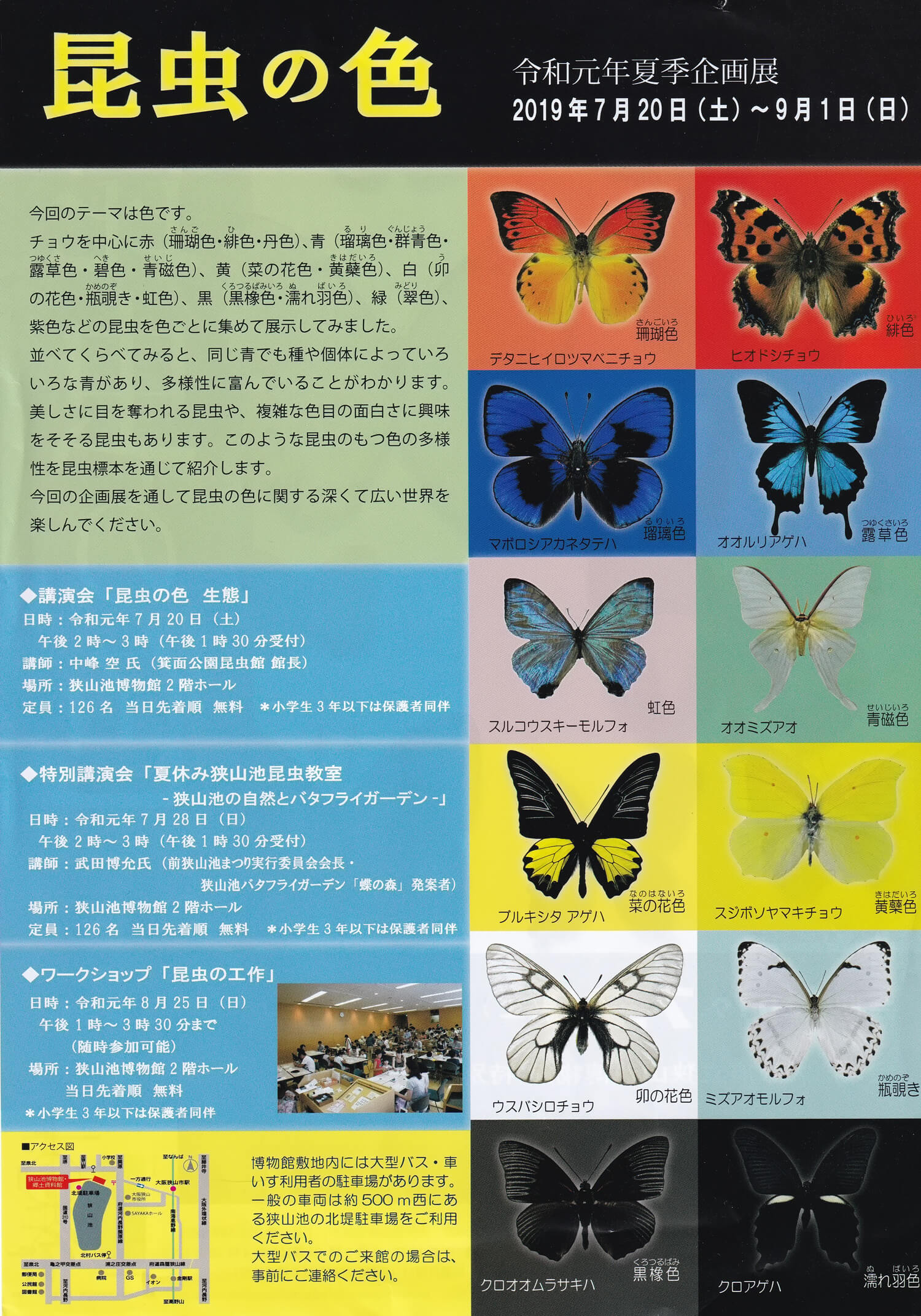 令和元年夏季企画展「昆虫の色」が狭山池博物館にて開催されます