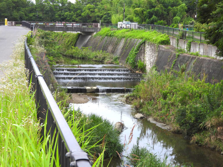 大阪狭山市「西除川が光るとき」 大阪狭山びこー大阪狭山市の地域情報サイト