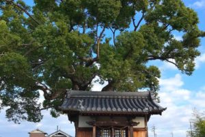山本地区をお散歩中に「稲荷神社」に寄ってきました (5)