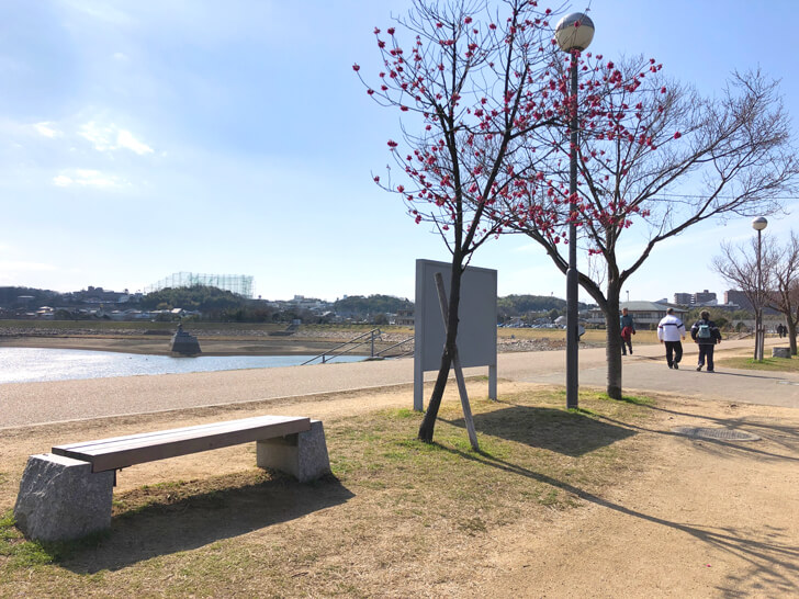 2020-03-02狭山池の桜