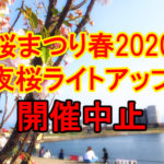 狭山池北堤の夜桜ライトアップ「桜まつり・春 2020」が開催中止