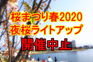狭山池北堤の夜桜ライトアップ「桜まつり・春 2020」が開催中止