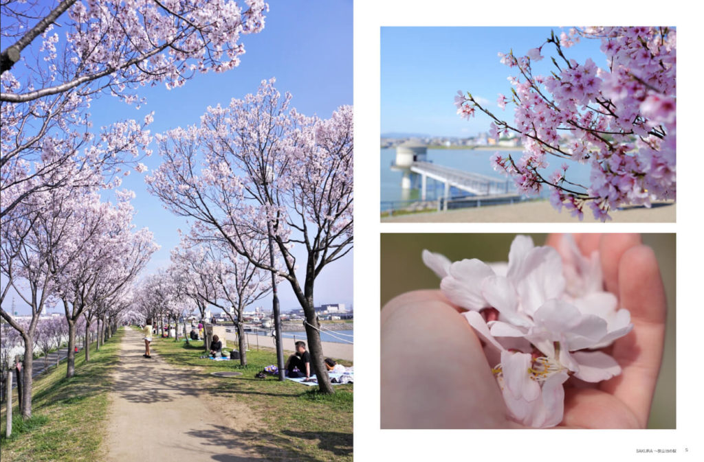 親子写真家ユニット「Photography to commune.」が狭山池の桜にスポットを当てた写真集「SAKURA ～狭山池の桜」を好評販売中 (1)