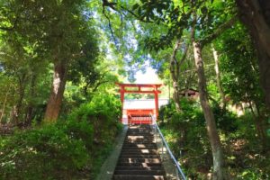 「池之原神社」へお散歩【2020年8月12日】 (2)