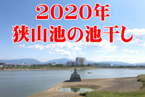 【龍神淵現る！】「狭山池の池干し」が2020年11月から実施されます-(23-1) (1)