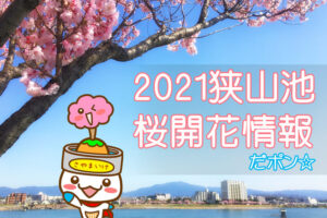 2021狭山池桜開花情報