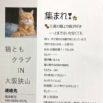 【2021年4月29日】「猫ともクラブ-IN-大阪狭山」が、さやかホールで開催されます