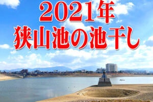 2021年も龍神淵現る！「狭山池の池干し」が11月から実施されます