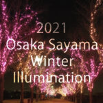 【2021年】狭山池で「桜まつり～冬～大阪狭山イルミネーション」が、12月1日から12月25日まで開催