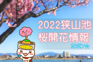 2022狭山池桜開花情報