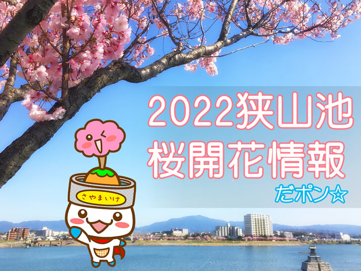 狭山池の桜の開花情報22 狭山池の未確認生物 さやポン が発信だポン 大阪狭山びこー大阪狭山市の地域情報サイト