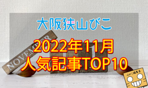 2022年11月「人気記事ランキング 」トップ10！