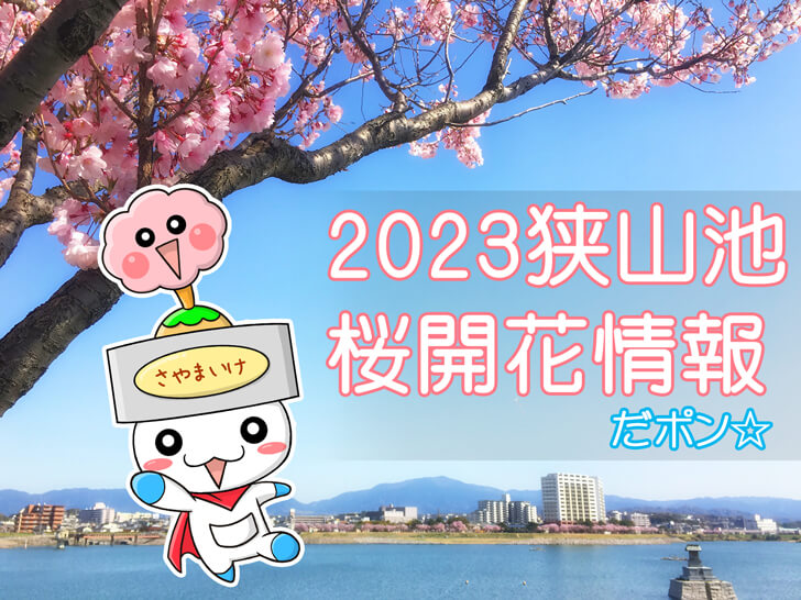2023狭山池桜開花情報