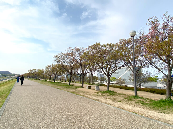2023-04-04№(0001)北堤の桜並木（コシノヒガン）
