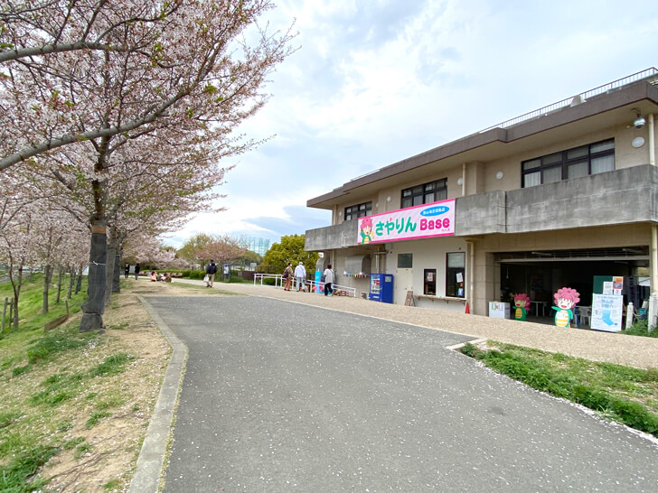 2023-04-05№(0003)龍神社・北堤駐車場側（ソメイヨシノ）
