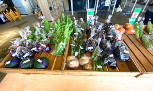 大阪狭山産の新鮮なお野菜♪「さやりんBaseの野菜市」に行ってきました-(12)