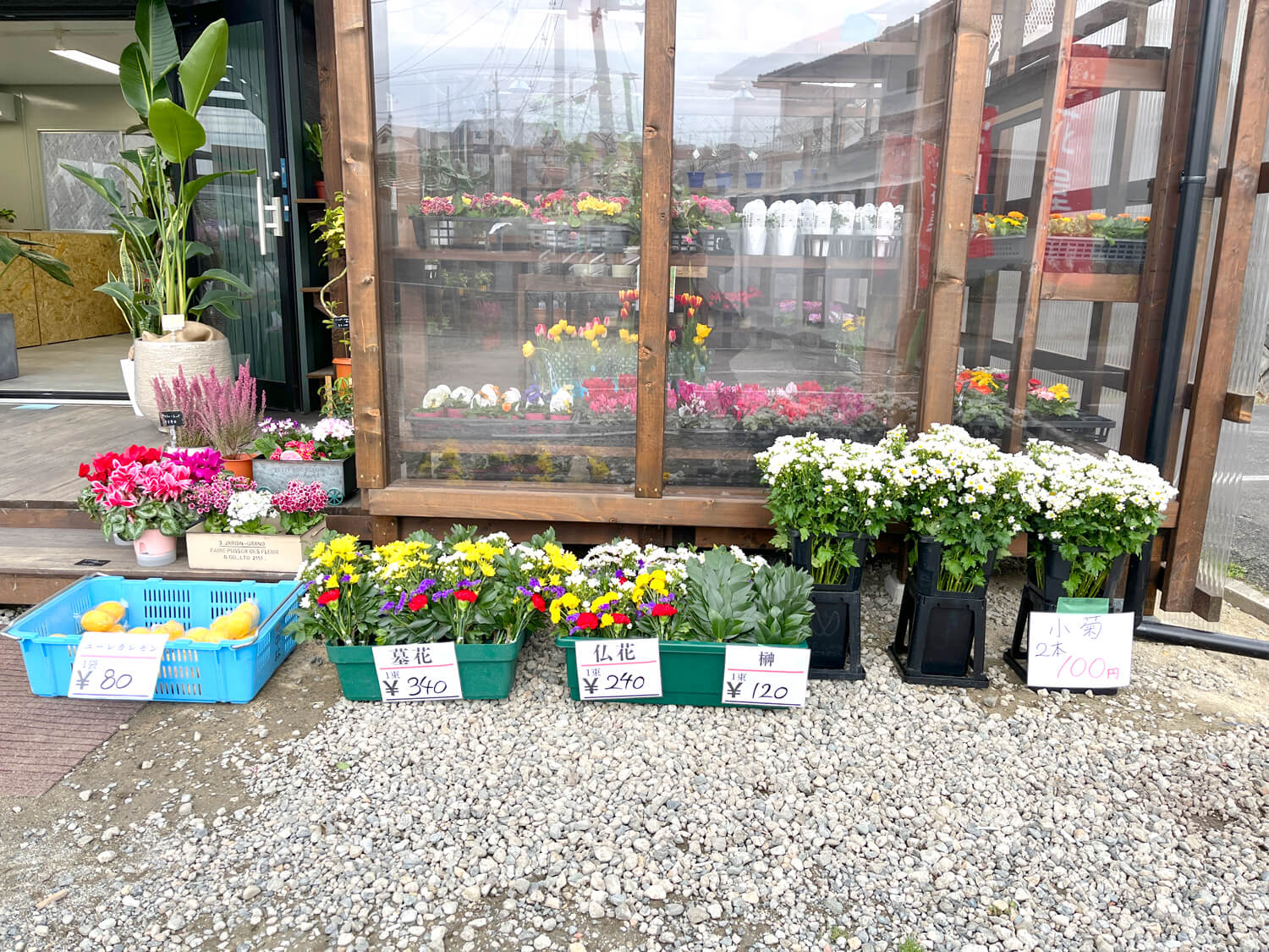 お花と観葉植物のお店「NaruHaru(ナルハル)」をご紹介します-(8)