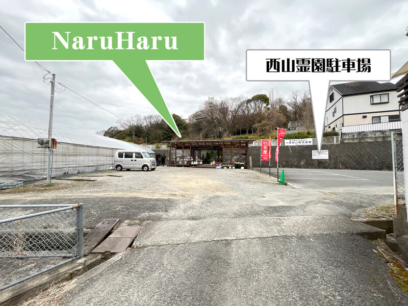 お花と観葉植物のお店「NaruHaru(ナルハル)」をご紹介します-(4)