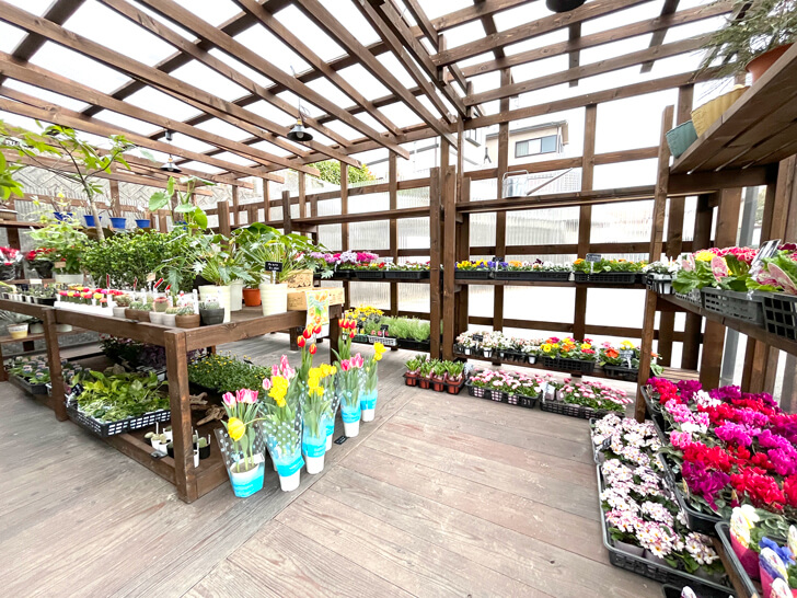 お花と観葉植物のお店「NaruHaru(ナルハル)」をご紹介します-(14)