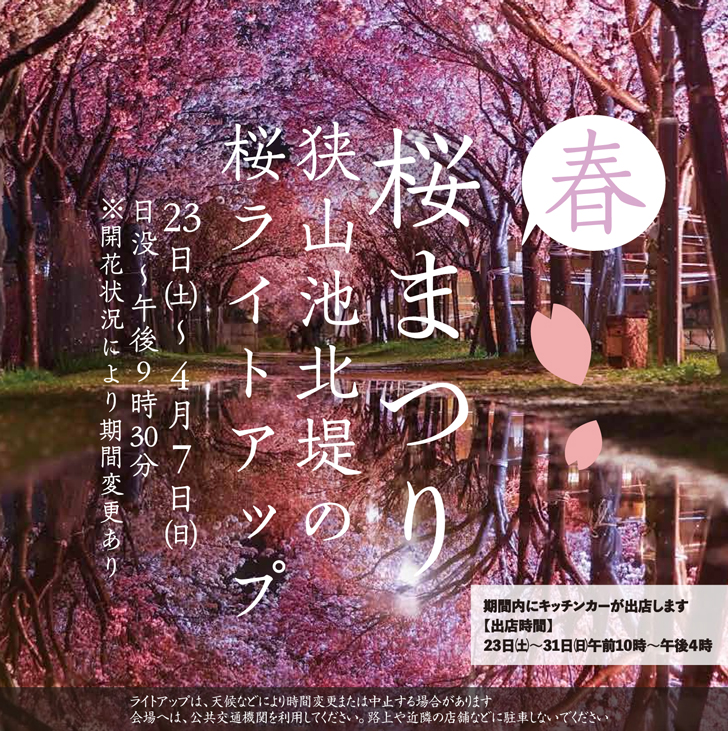 【2024年3月23日～4月7日】夜桜ライトアップ！「桜まつり-春」が狭山池北堤で開催されます