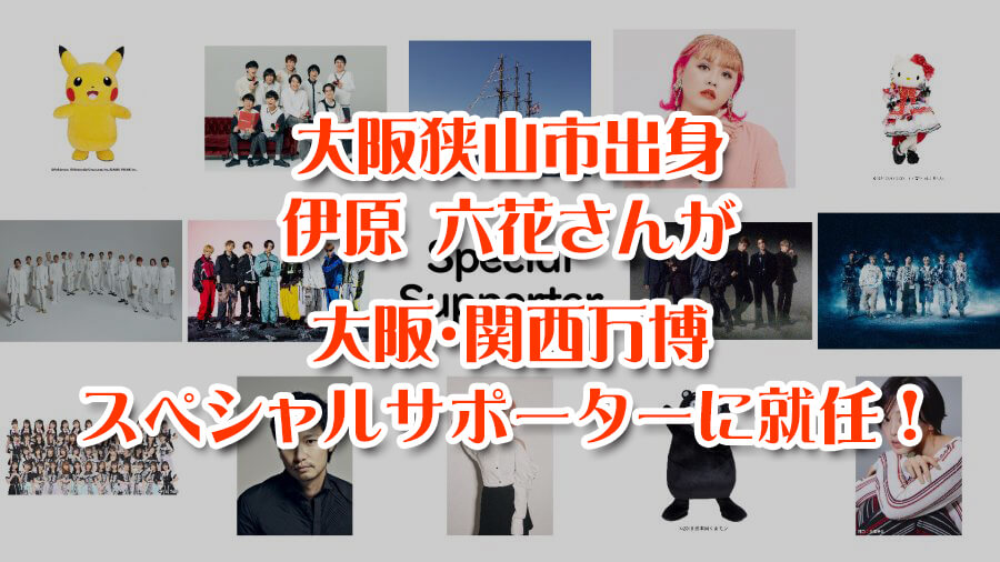 【記入なし】こぐま会 ハローキティゼミ 年少 1年分 記入なし】こぐま会 ハローキティゼミ 年少 1年分