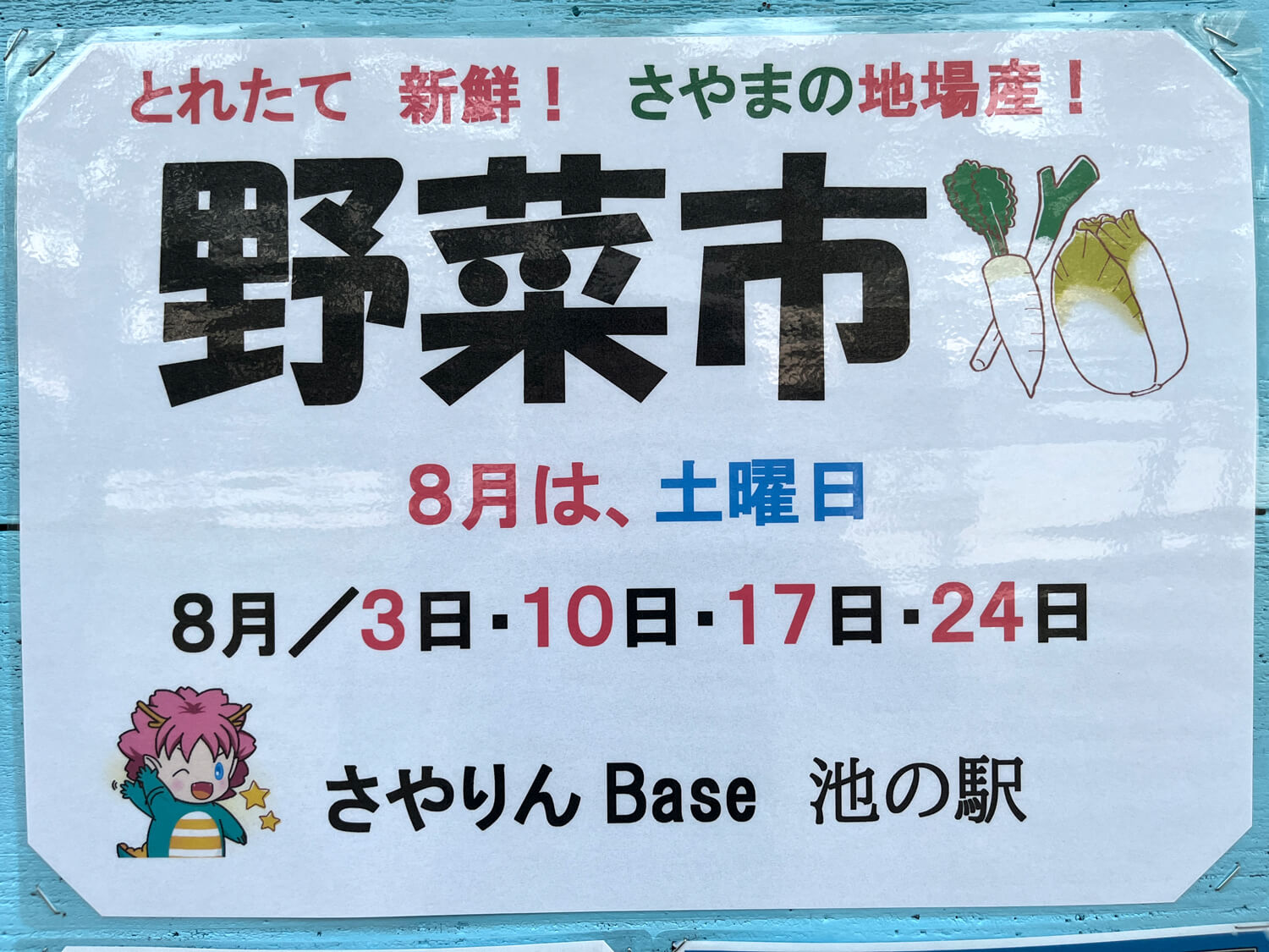 【2024年8月】狭山池交流拠点「さやりんBase」イベント情報（野菜市・DIY）・狭山池クリーン・アクションのご紹介 (3)