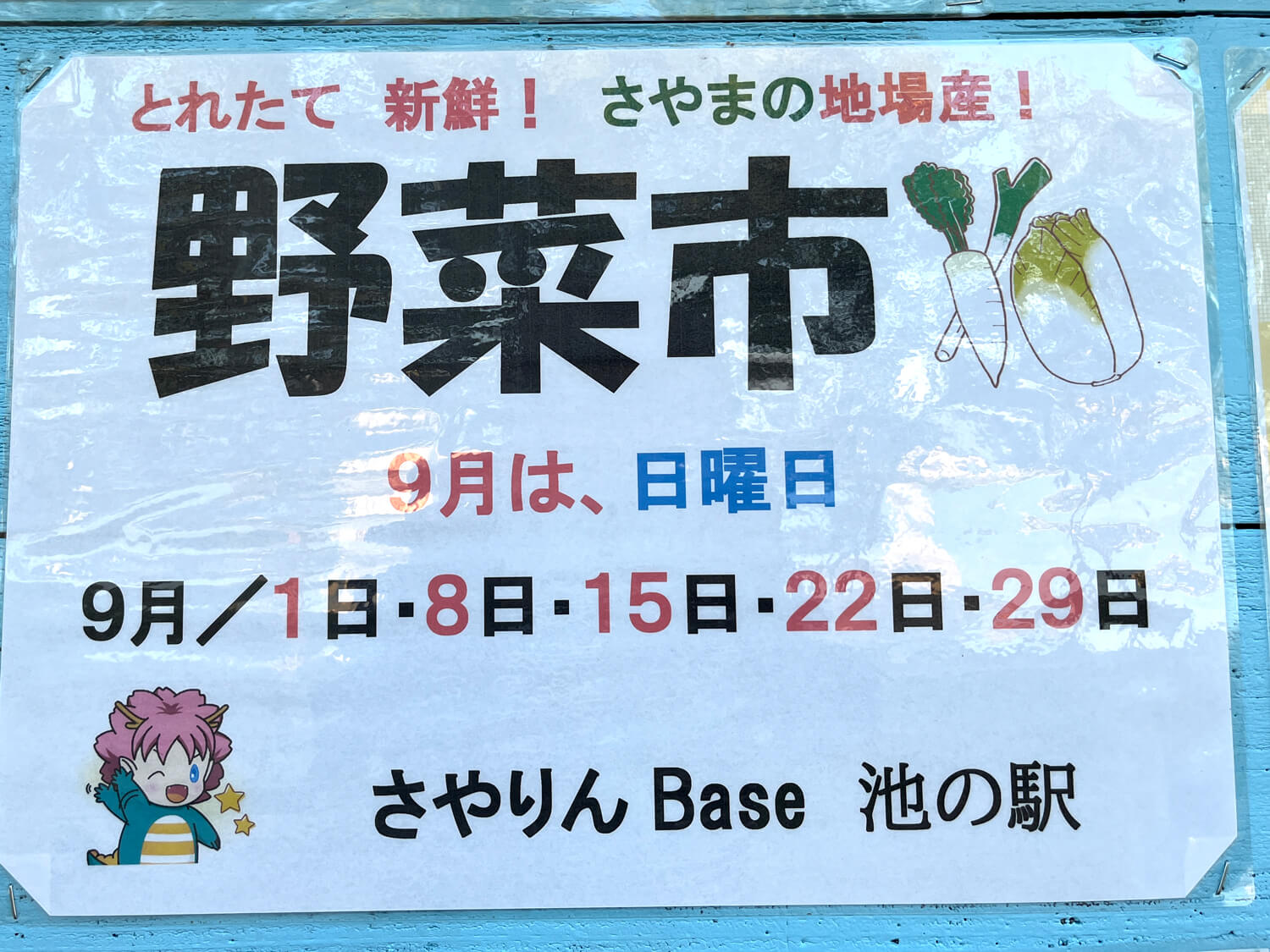 【2024年9月】狭山池交流拠点「さやりんBase」イベント情報（野菜市・DIY）・狭山池クリーン・アクションのご紹介 (2)