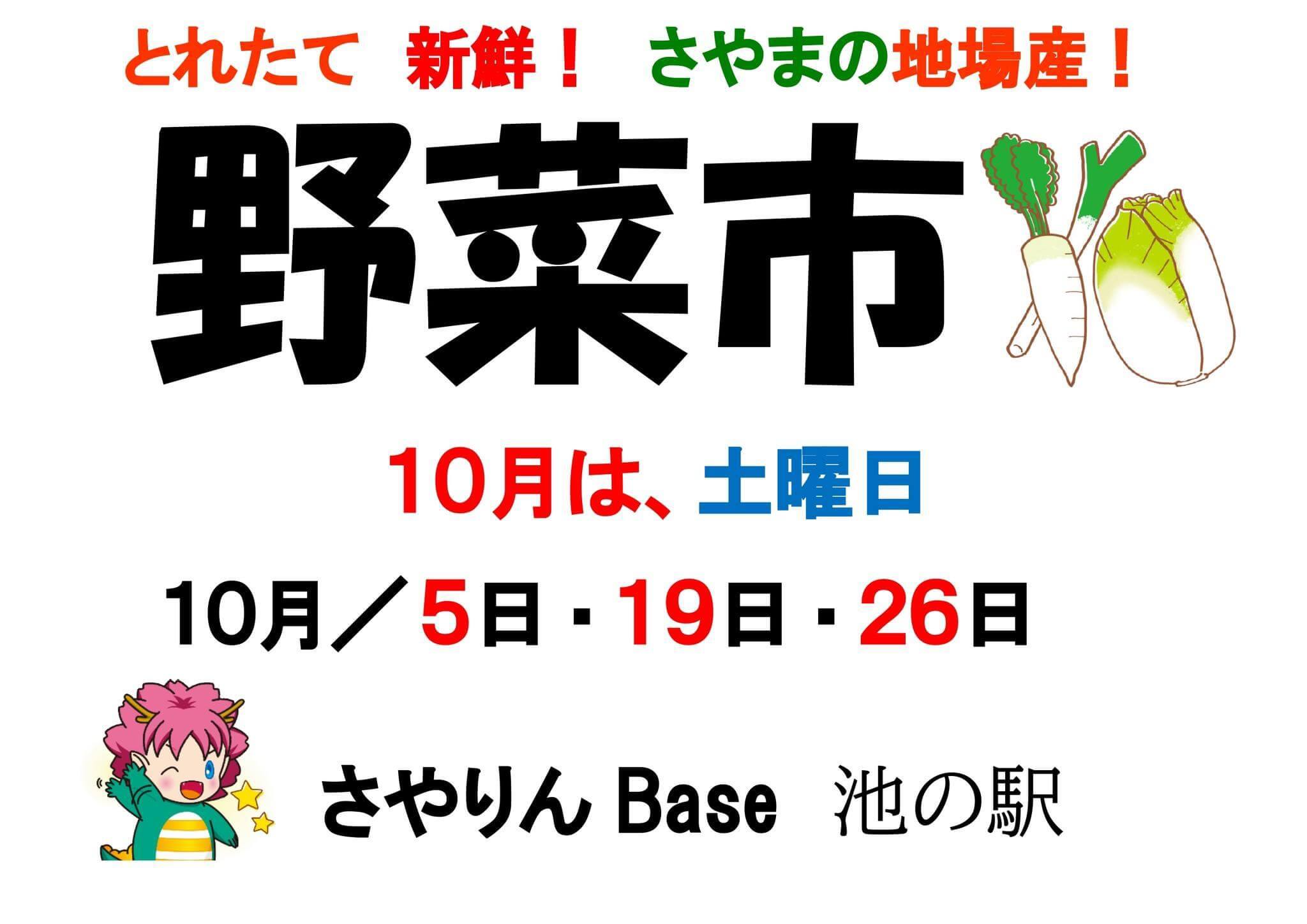 【2024年10月】狭山池交流拠点「さやりんBase」イベント情報・狭山池クリーン・アクションのご紹介 (3)