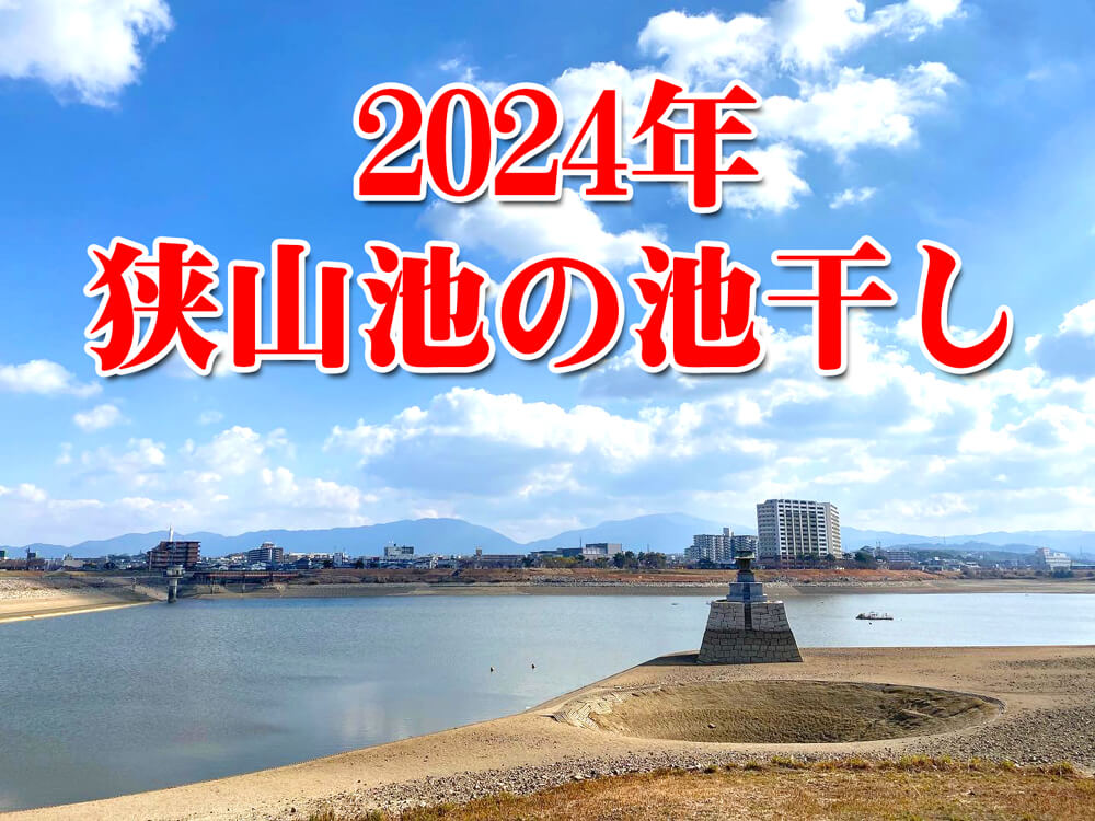 【池干しの様子も】2024年も龍神淵現る！「狭山池の池干し」が11月から実施されます