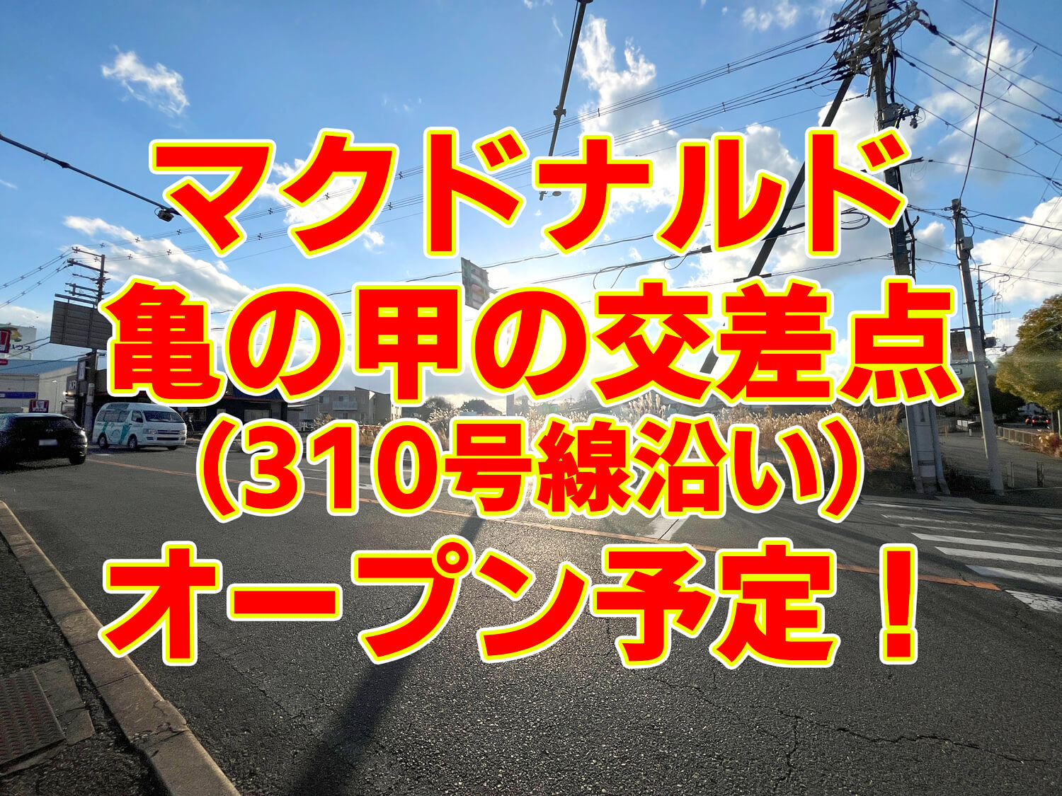 5点≪ロット番号001≫【野洲市A・東近江市B/京丹波町A/亀山市B/若狭町A】 5点≪ロット番号001≫【野洲市A・東近江市B/京丹波町