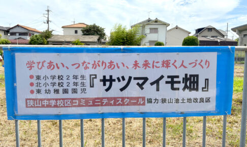 【コミュニティ・スクール】小学生・幼稚園児による「サツマイモ苗の植付け作業」が行われました-(2)