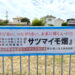 【コミュニティ・スクール】小学生・幼稚園児による「サツマイモ苗の植付け作業」が行われました