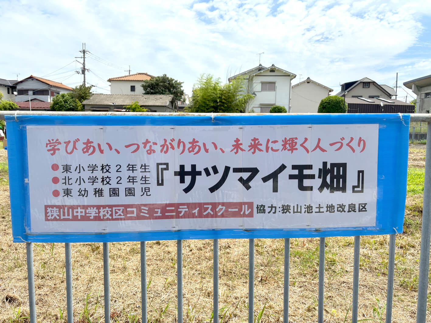 【コミュニティ・スクール】小学生・幼稚園児による「サツマイモ苗の植付け作業」が行われました-(2)