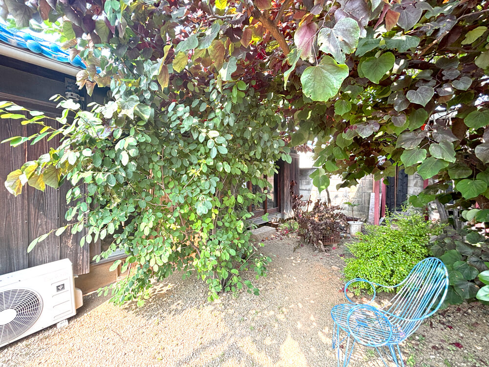 【まるで秘密基地！？】築50年の古民家をリノベ！堺市中区のカフェ&コミュニティースペース「ツバメroof」で、ランチをいただきました！ (12)