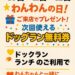 【2026年1月10日/11日/12日】今熊4丁目のドッグラン&カフェ「 WANONE」で、次回使える『ドッグラン無料券』プレゼント!