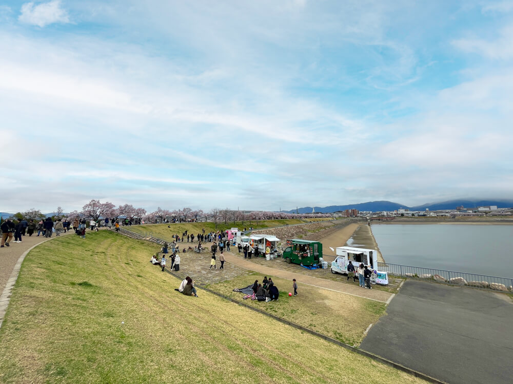 【2026年3月27日~4月7日】夜桜ライトアップ!「桜まつり 春」が狭山池北堤で開催!キッチンカー出店・「さやま日和」試飲会も! (12)