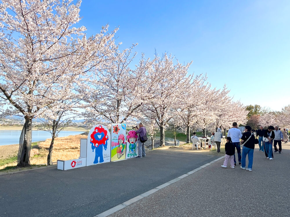 【2026年3月29日開催】狭山池さくらフェス「恋♡来いライブ × さくらの街のマルシェ」で春を満喫しよう!音楽・グルメ・ハンドメイドが大集合 (31)