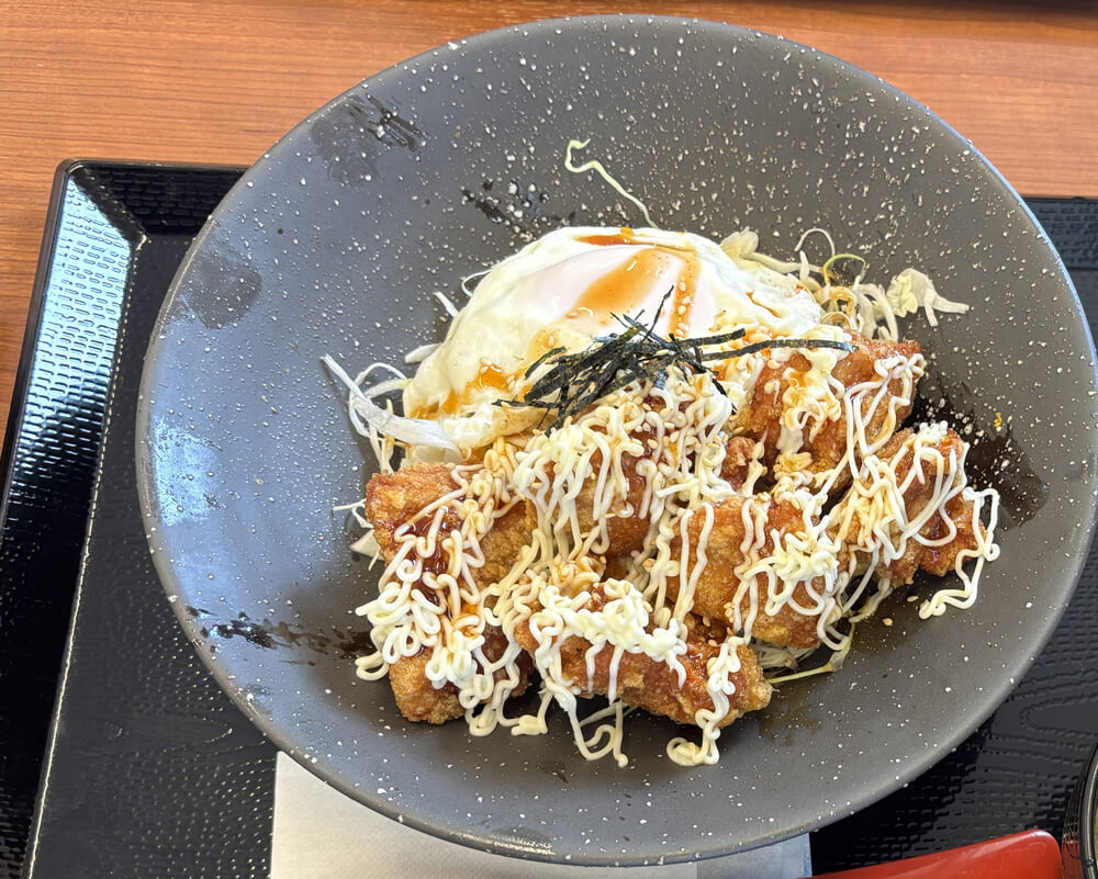 【からあげ好き必見】310号線沿い「からやま 大阪狭山店」で、揚げたて「からあげ」をいただきました！ (24)