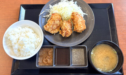 【からあげ好き必見】310号線沿い「からやま 大阪狭山店」で、揚げたて「からあげ」をいただきました！ (6)