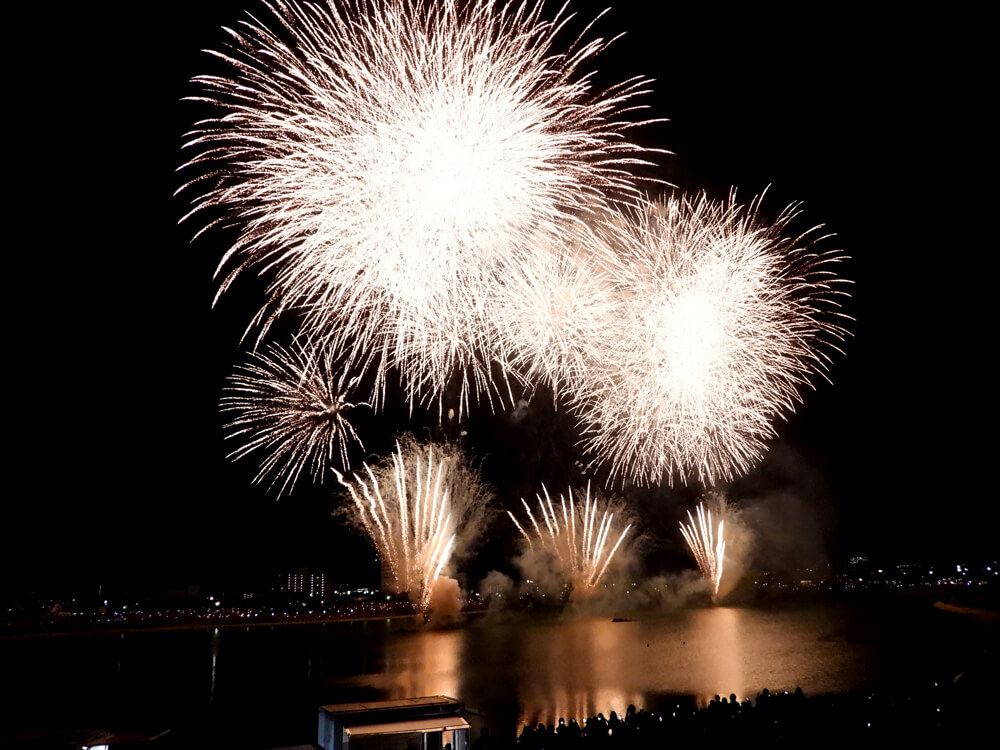 【2026年8月1日】狭山池で花火・60台以上のキッチンカーも!「桜まつり-サマーブロッサムナイトin狭山池2026」開催-(8)