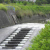 【ゴム堰（せき）】8月19日の豪雨後の様子が気になって「西除川」へ行ってきた-(2)