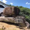 岩室を散歩中に見つけた道標石と地蔵堂。 (6)