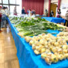 【大阪狭山の新鮮なお野菜】東池尻会館で行われている「朝市」に行ってきました2-(5)