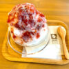 「Books-&-Coffee-パルネット狭山店-」で、山盛りのフワフワかき氷を食べました-(1)