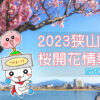 2023狭山池桜開花情報